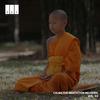 Meditat Life - Enhancing the Immunity 174.00 Hz