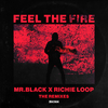 Mr. Black - Feel The Fire (Futuristic Polar Bears & Jerry Davila Remix)