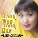 Tang Ting Tong Der专辑