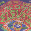 The Psychedelic World of the 13th Floor Elevators