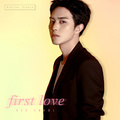 FIRST LOVE