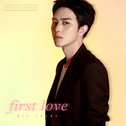 FIRST LOVE专辑