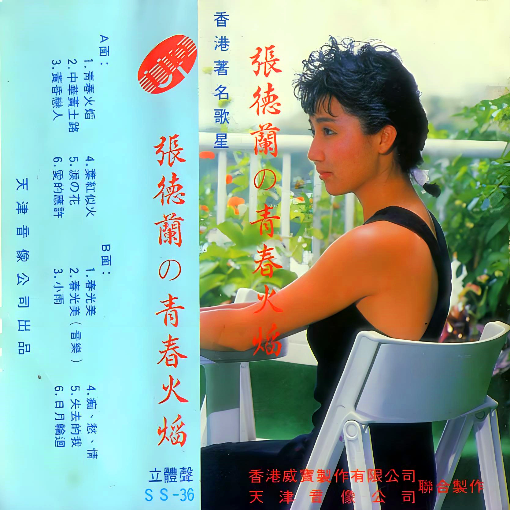 春光美 海報