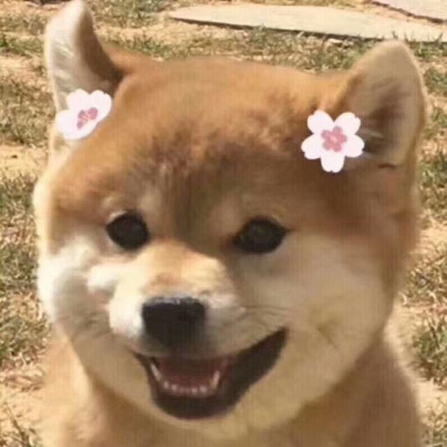 /