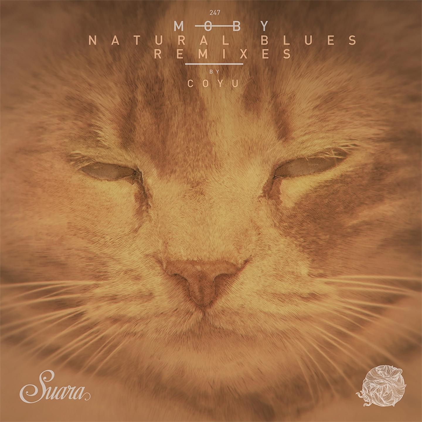 Natural Blues (Coyu Remix)专辑