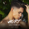 Liam Ferrari - Hurt (Tru Fonix Remix)