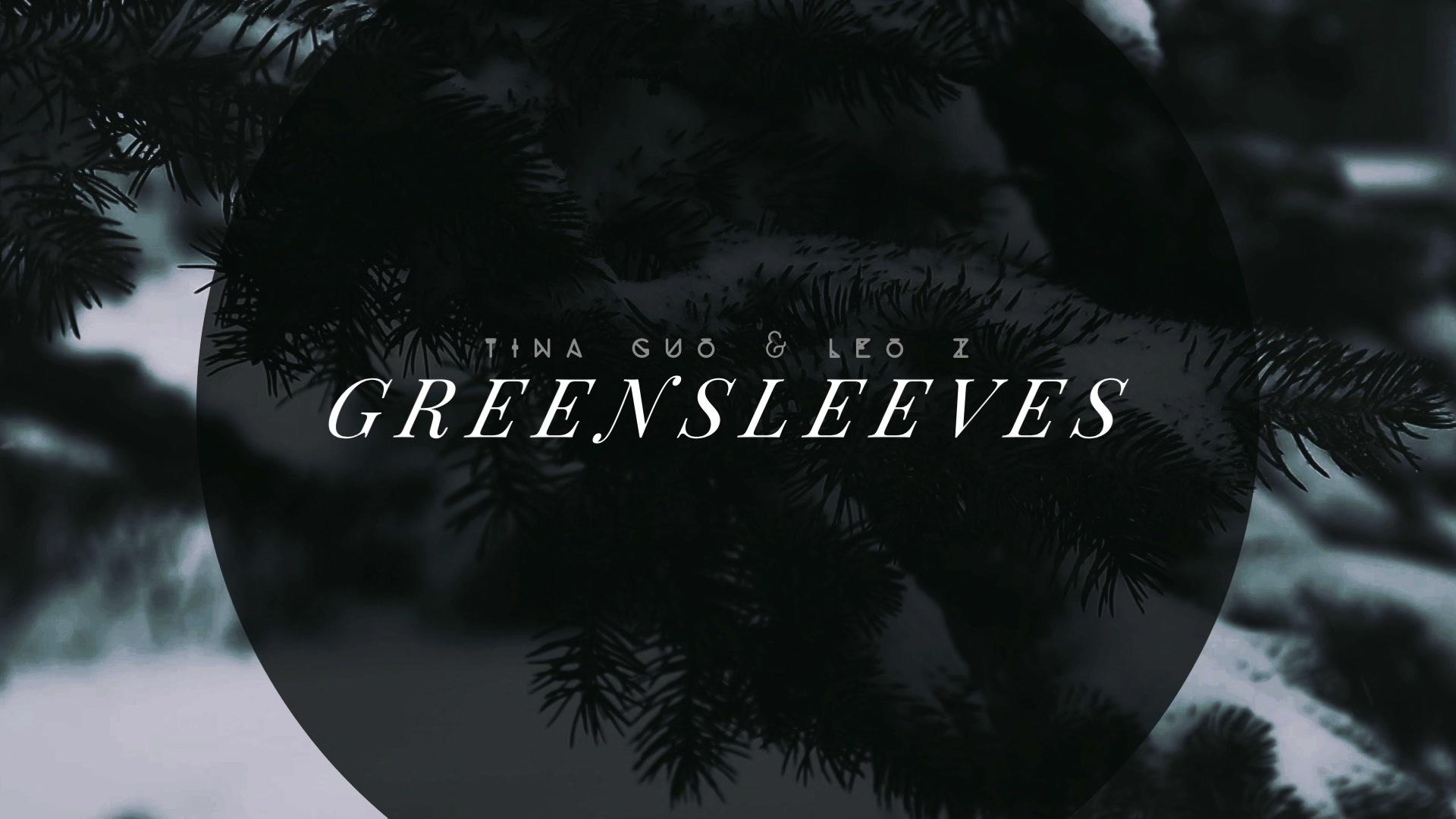 Tina Guo - Greensleeves (from 