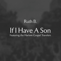 If I Have A Son (feat. The Harlem Gospel Travelers)专辑