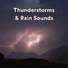 Thunderstorm - Soldier Without a Conscience