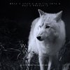 Oneira - White Wolf