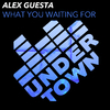 Alex Guesta - What you waiting for (Extended Mix)