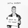 Justin Bieber - What Do You Mean?