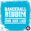 Sean Paul - Dancehall Riddim: Chaos & Acid Riddim - Continuous Mix