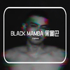 STAR.CHAN - Black Mamba