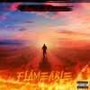 Flameable - Life Gets Hard (feat. Jelly Roll & Young Dap)