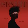 Senhit - Try To Love You