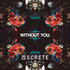 Discrete - WITHOUT YOU.