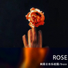 网易云音乐校园 - Rose (伴奏)