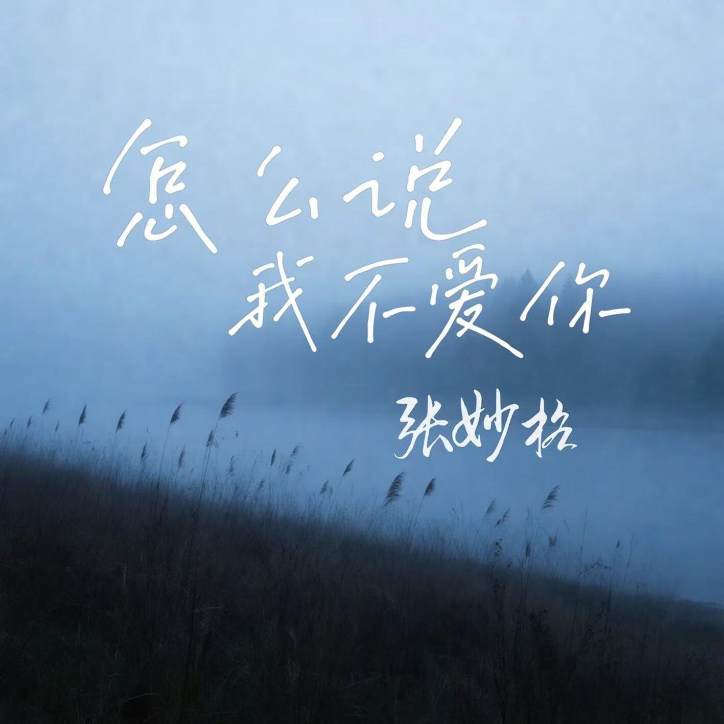 怎麼說我不愛你 海報