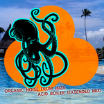 Acid Boiler (Extended Mix)专辑