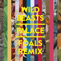 Palace (Foals remix)