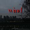 SES - Wind