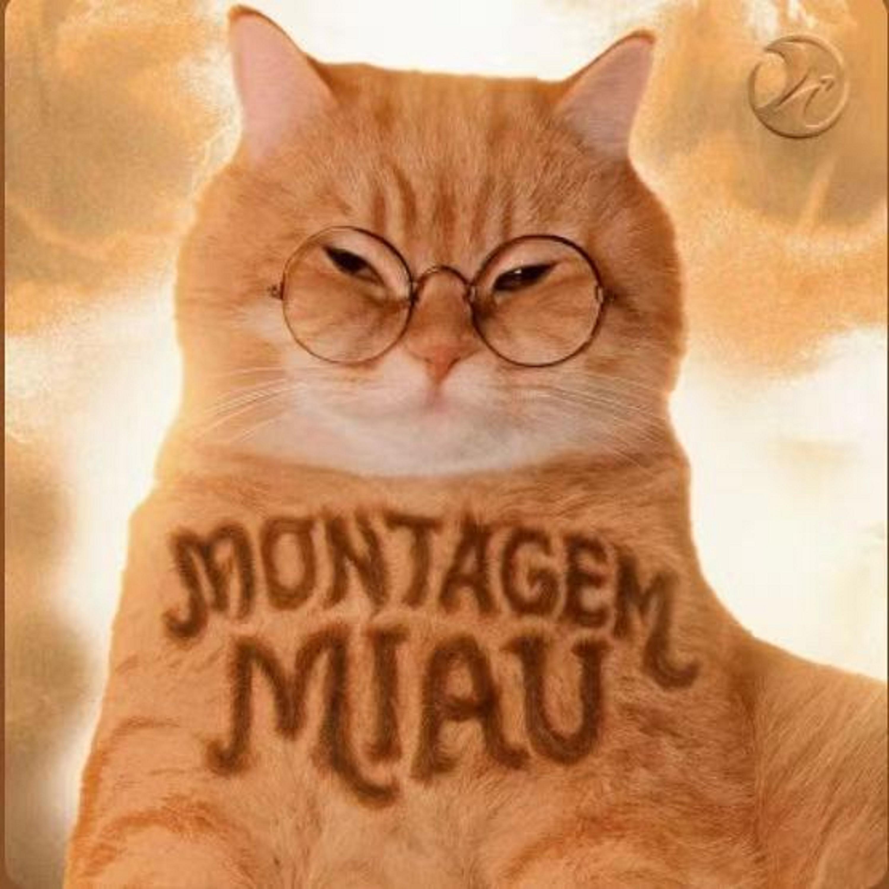 Montagem Miau（阿米嘎蒂朵～喵喵） banner