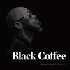Black Coffee - Time (Visualizer)