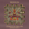 Bedouin - Fortune Teller (Anja Schneider Remix)