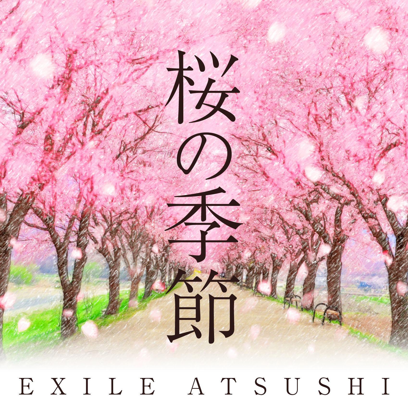 (樱花的季节-合唱ver exile atsushi 网易云音乐