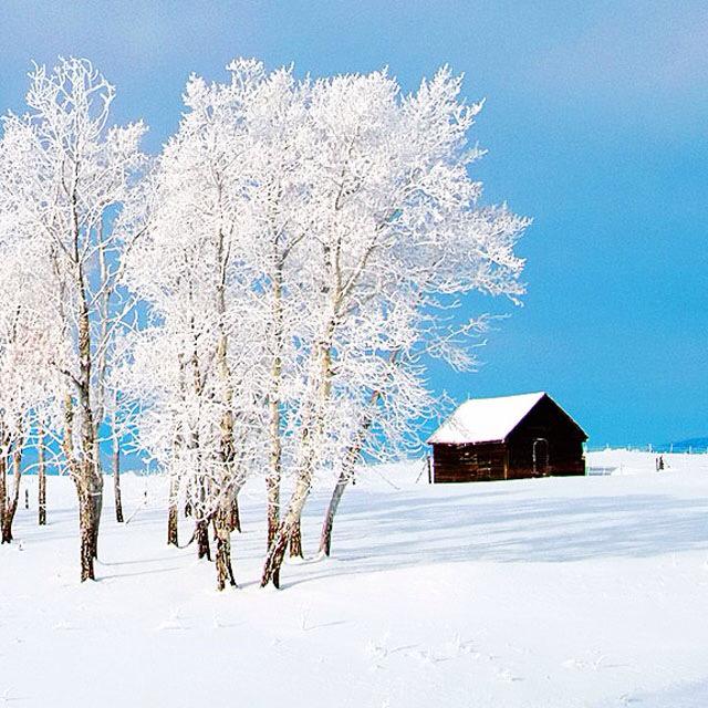 成语白什么迭雪_成语故事图片