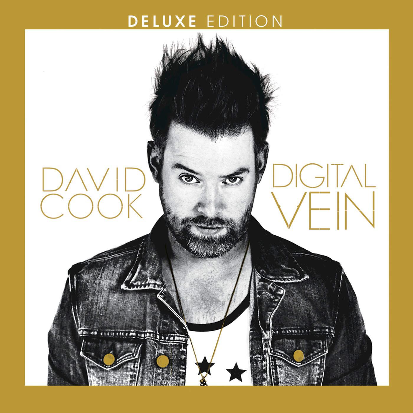 Digital Vein (Deluxe Version)专辑