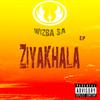 Wizba SA - More & More (feat. The O)
