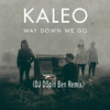 KALEO - Way Down We Go (DJ DSpin Ben Remix)