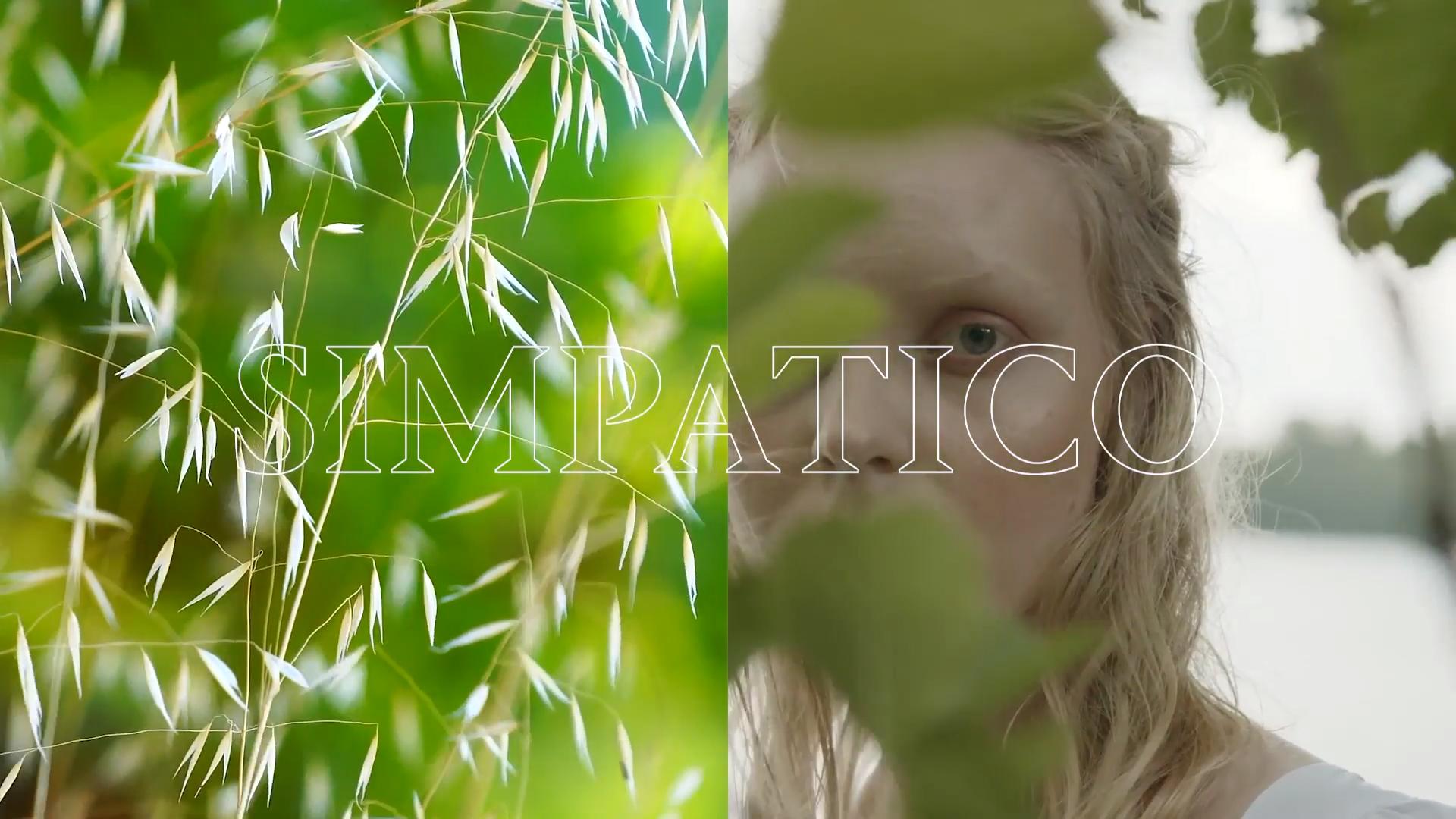 Kate Miller-Heidke - Simpatico (Lyric Video)