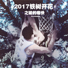 斌爸爸 - 2017铁树开花之输的痛快