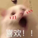 最最喜欢你啦