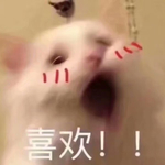 最最喜欢你啦