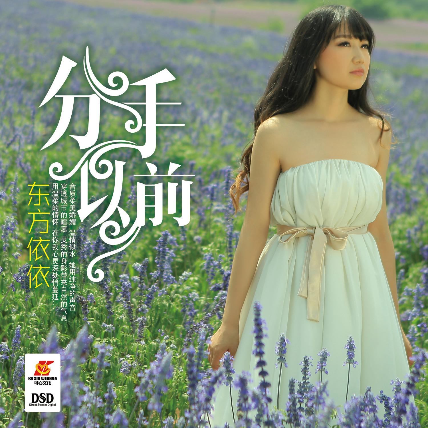 分手以前 - 东方依依 - 网易云音乐