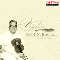 Violin Prof. T. N. Krishnan