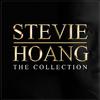 Stevie Hoang - Before You Break My Heart