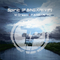 Spirit（F.BING.KAI VIP）