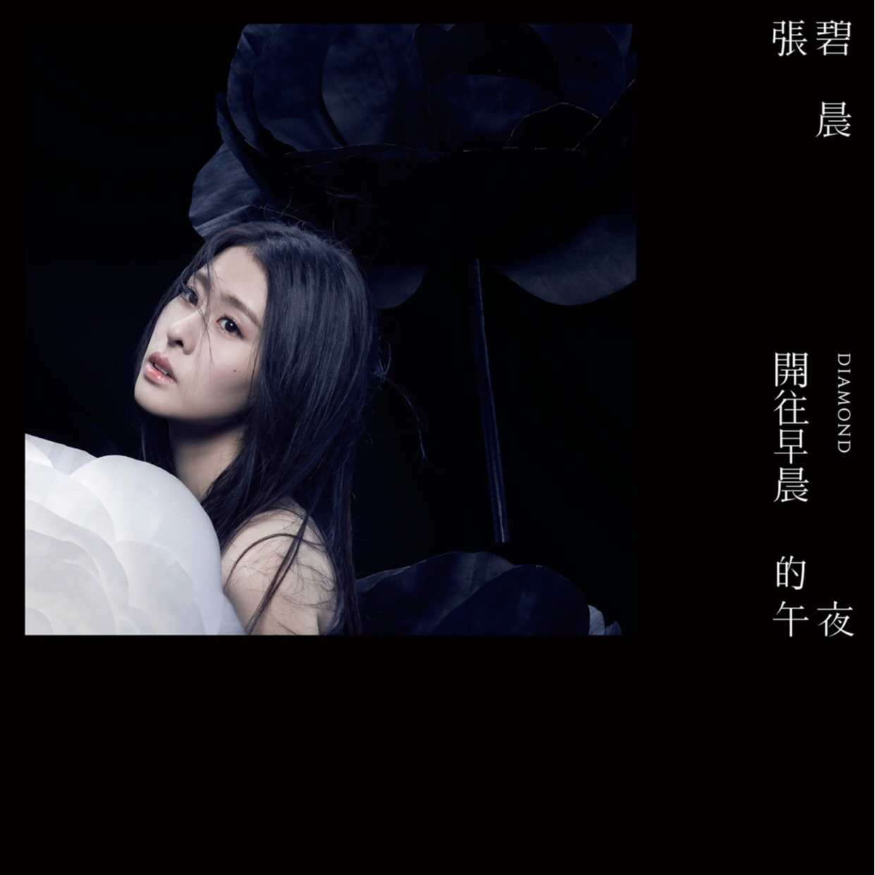 开往早晨的午夜 banner