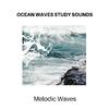 Evergreen Ocean Sounds - Blissful Ocean Stream