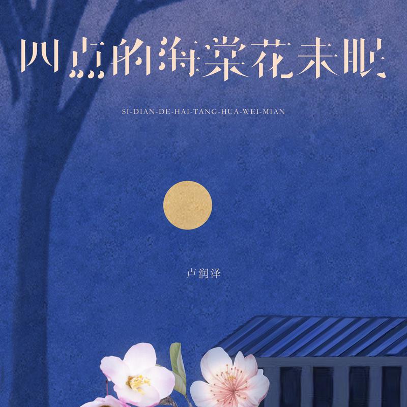 四点的海棠花未眠 海报