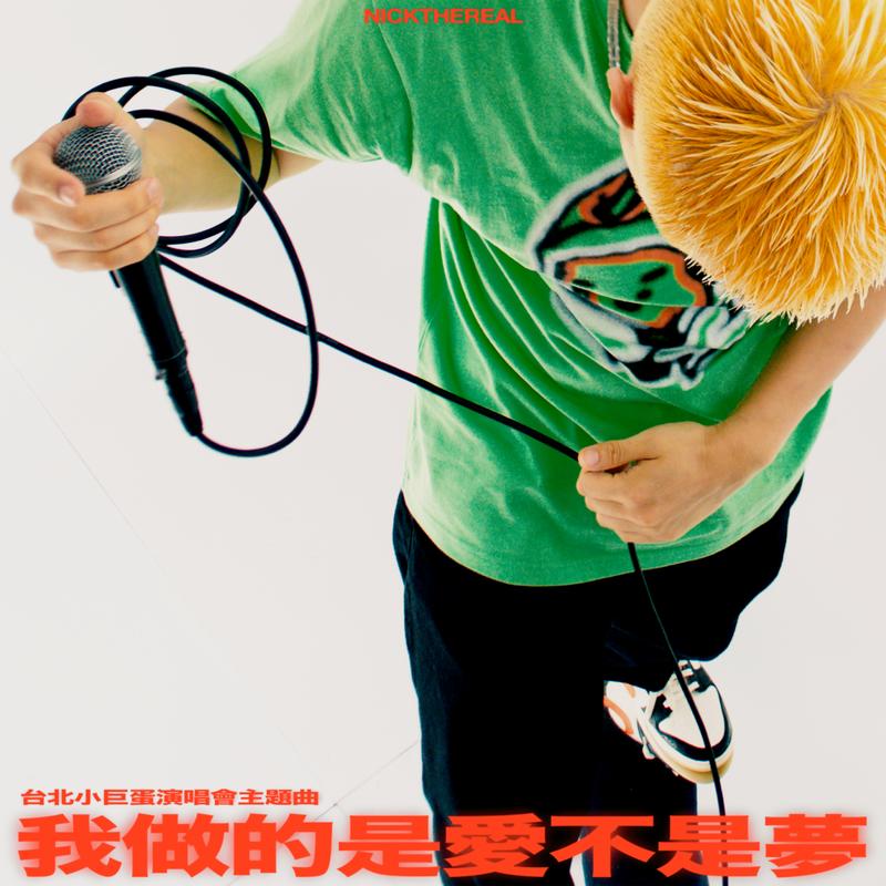 我做的是愛不是夢 海報