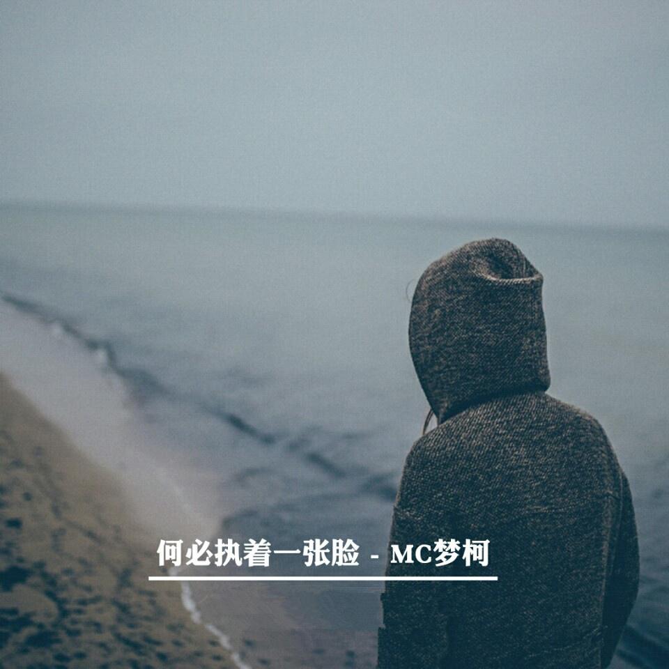 何必执着一张脸