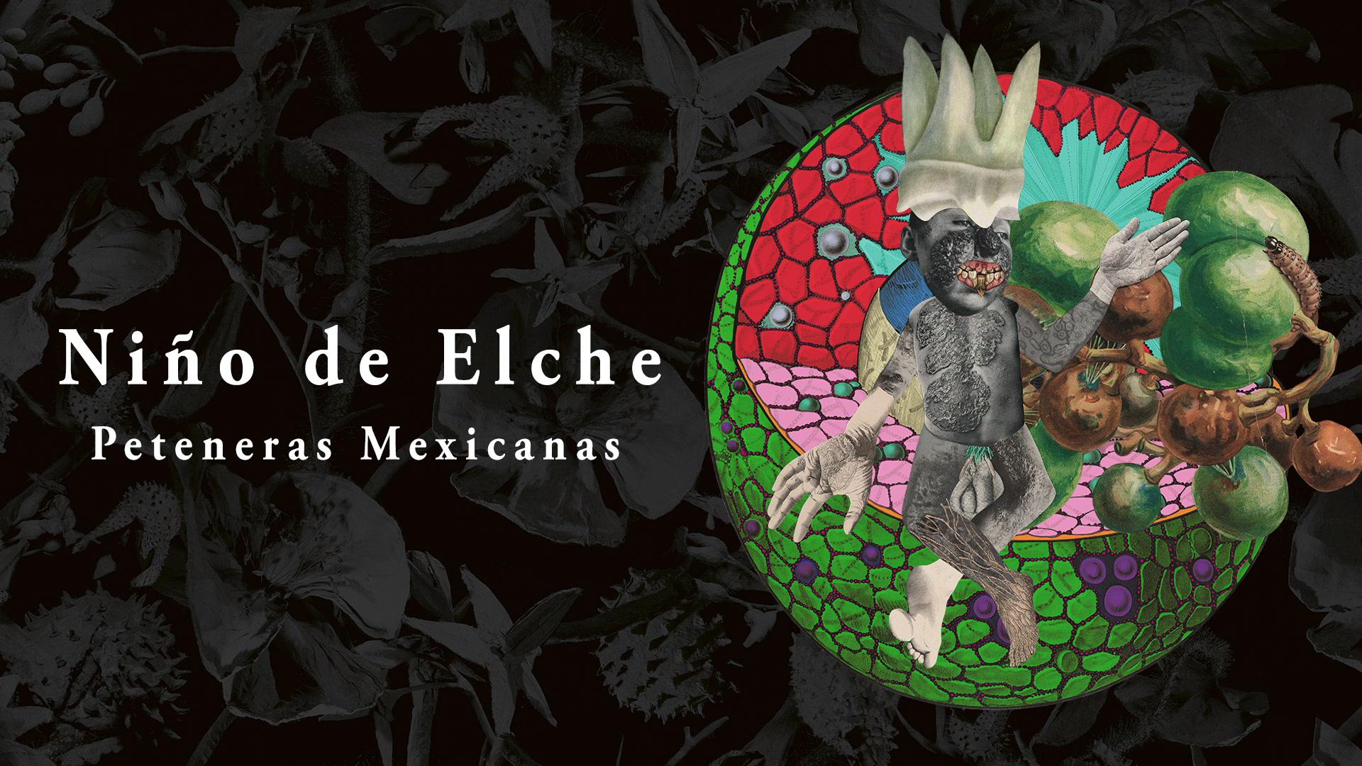 Niño de Elche - Peteneras Mexicanas (Audio)