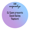 David Bailey - Rapture (Dub)