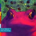Kiss That Frog专辑